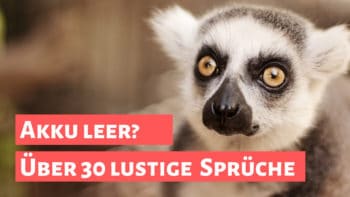 Mehr über den Artikel erfahren Akku leer: Sprüche und lustige Bilder, wenn deinem Handy der Saft ausgeht